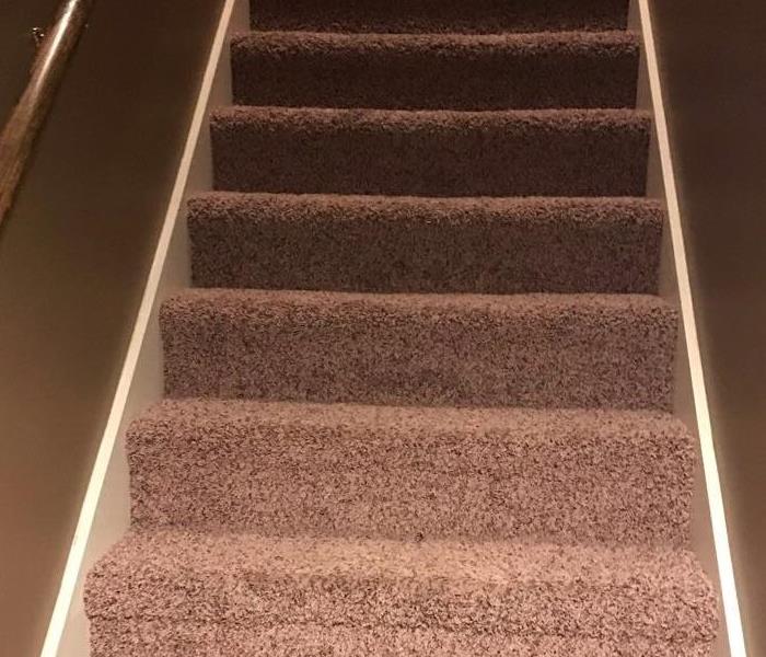 Newly installed carpeted stairs